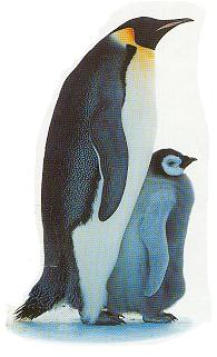 penguins.jpg (13071 bytes)
